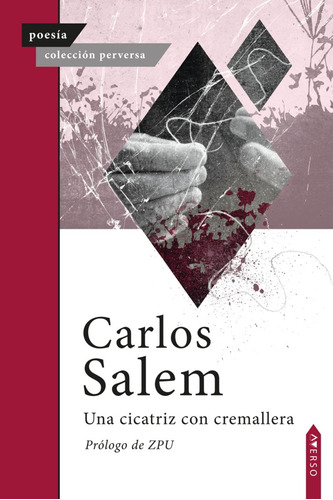 Una Cicatriz Con Cremallera, De , Salem, Carlos. Editorial Averso Poesia, Tapa Blanda En Español