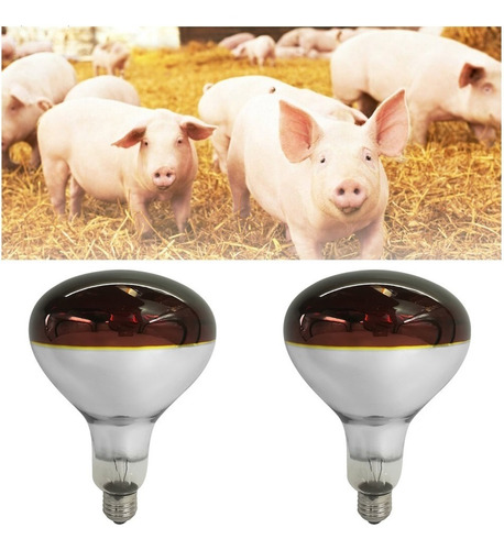 Imagen 4 de 10 de Combo X4 Lampara Infraroja 250w Roja Calor Secado Criaderos