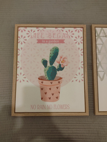 2 Cuadros Nórdicos Moda - Cactus Plantas