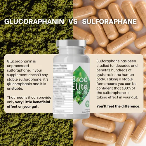 Mara Labs Broc Elite Plus | Brócoli Exact Supplement |