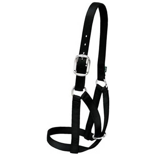 Cabestro De Cuero Granero Vaca Halter