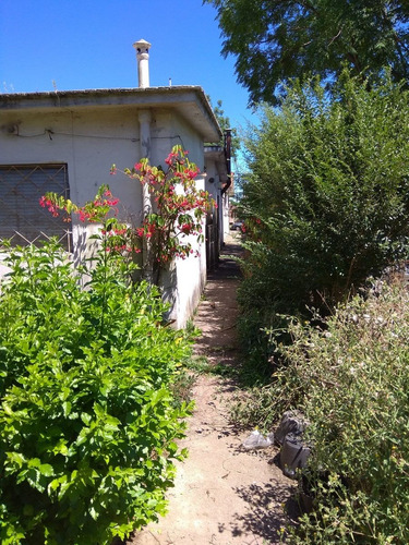 Acm Apto/casa De 1 Dorm En Ph Con Lindo Jardín