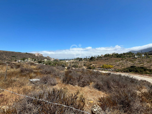 Terreno En Las Tacas Para Desarrollo 6.000m2