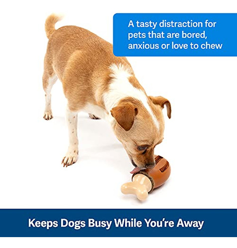 Juguete Perros Busy Buddy Chompin' Chicken - Interactivo,