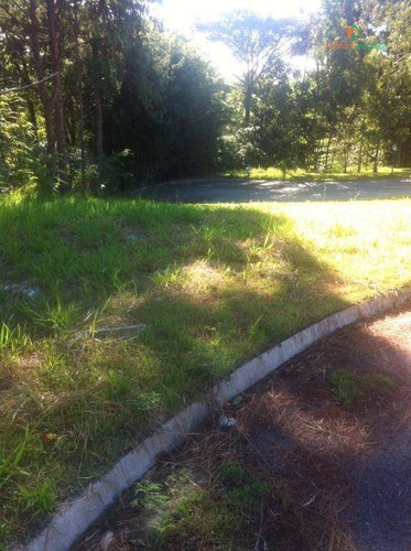 Imagem 5 de 7 de Terreno À Venda, Morada Das Artes, Sorocaba. - Te0082
