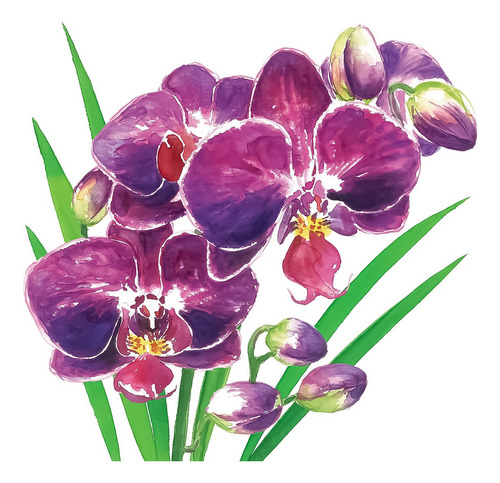 Guardanapo Para Decoupage 33x33 Flores Orquídea C/2 Unidades