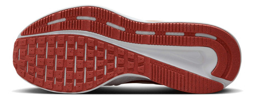 Zapatillas Nike Run Deportivo De Running Para Mujer Ds488