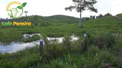 Imagem 7 de 15 de Fazenda À Venda Em Pacajá - Pa 692,12 Hectares - 2094