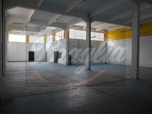 Alquiler Local Comercial 5 Ambientes La Blanqueada Braglia 8