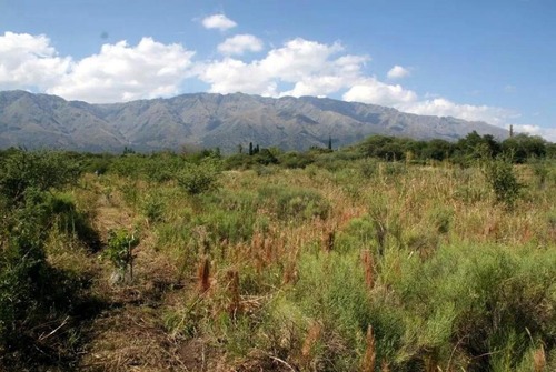 Imagen 4 de 13 de Campo De 6ha En Venta En La Chacra, La Paz, San Javier, Cdba