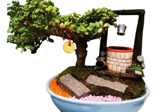 Arreglos Plantas Personalizados
