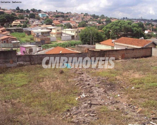 Imagem 1 de 11 de Terreno À Venda No Jardim Campos Eliseos Em Campinas - Te03960 - Te03960 - 70963732