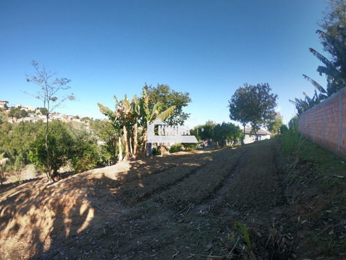 Imagem 20 de 30 de Chácara Para Venda - 02950.9321