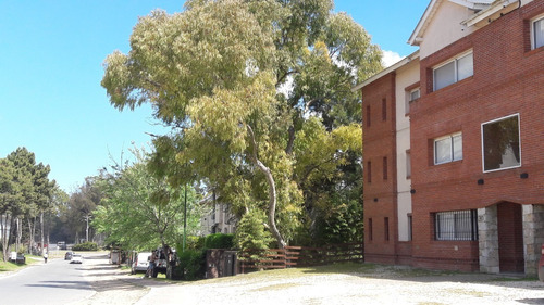 Imagen 24 de 30 de Alquiler Pinamar Disponible Marzo Y Semana Santa 3 Ambientes Oportunidad Con Pileta Y Parrilla