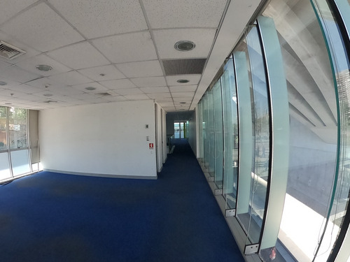 Espectacular Local Comercial De 238m2 En Arriendo