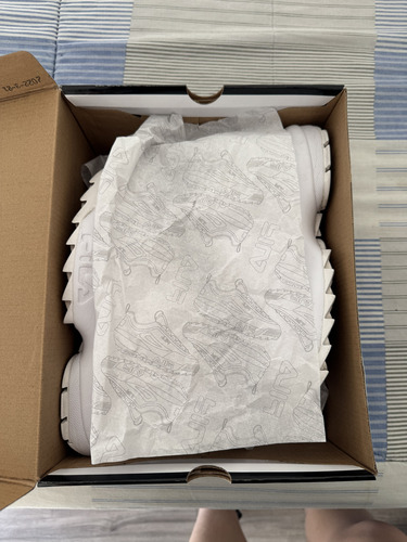 Zapatillas Fila Distuptor Ii Premium Talle 40 (Usado)