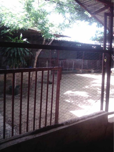 Imagen 7 de 12 de Excelente Granja En Venta