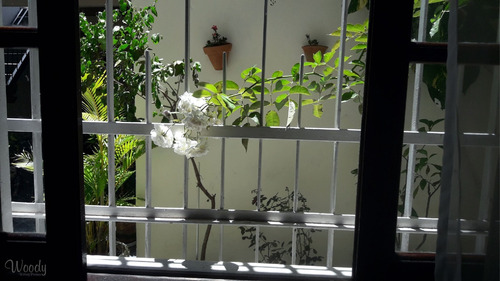 Imagem 3 de 14 de Compre Linda Casa, E Ainda Tenha Mais 2 *fontes De Renda. Aceito Oferta.