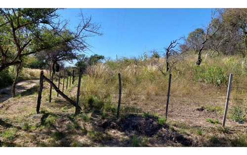 Imagen 2 de 8 de Fracción De 4.15 Ha En Falda Del Carmen. Lote N° 4