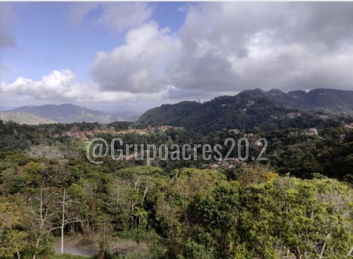 Imagen 12 de 12 de En Venta Lote De Terreno Ubicado En Hoyo De La Puerta Miranda A Solo 20 Minutos De Caracas. Cf