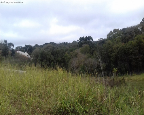Imagem 7 de 18 de Sitio À Venda No Monjolada - Guiapiara/sp - St00246 - 68125721