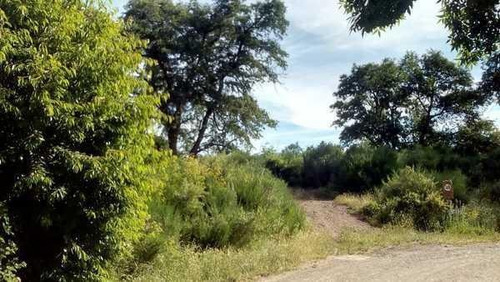 Imagen 10 de 28 de Grupo Patagonia Vende 4.2 Hectáreas (todos Los Servicios Instalados Y Costa De Arroyo). Sobre Camino A Valle Escondido -club De Campo-, San Martín De Los Andes, Patagonia Argentina