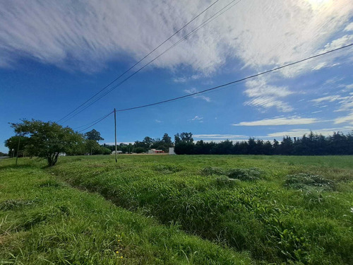 Terreno Lote  En Venta En José Melchor Romero, La Plata, G.b.a. Zona Sur