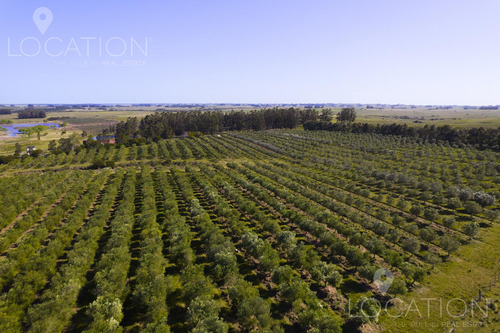 Espectacular Campo En Jose Ignacio-lcs2579680