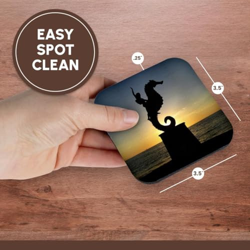 Posavasos Krista Funk Puerto Vallarta Caballito Estatua