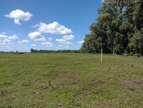 Campo En Venta Sobre Ruta 6, Marcos Paz
