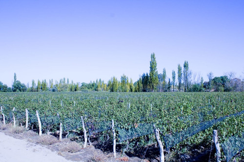 Vendo Finca En San Rafael.
