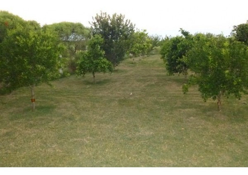 Imagen 23 de 30 de Excelente Chacra 3 Hectareas En Uruguay En El Departamento De Soriano, Permuta En Caba