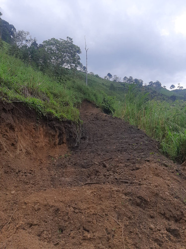 Venta Lote En La Linda, Manizales