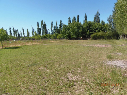 Vendo Finca De 310 Hectareas San Rafael Mendoza