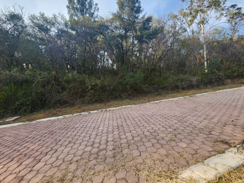 Venta Lote Gladiola 35 En Nueva Zona Del Fraccionamiento Con Bonitas Vistas, Todos Los Servicios Y Proyecto Incluído En Rancho San Diego Ixtapan De La Sal Edomex