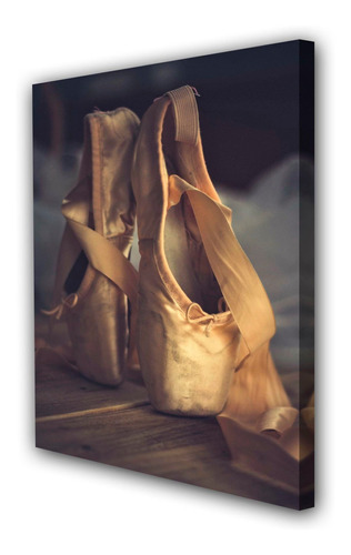 Cuadro 30x45cm Ballet Bailarin Bailarina M2