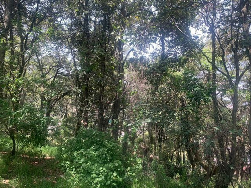 Terreno En Av.desierto De Los Leones