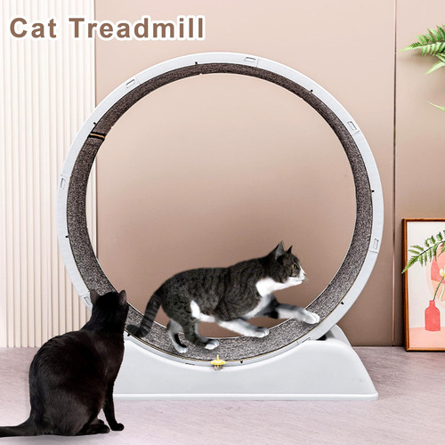 Esteira Cat Wheel Exerciser Lalakats Cat Para Gatos Doméstic