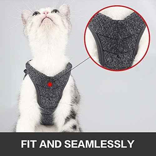 Yult Arnes Y Correa Para Gatos: Chaqueta De Paseo Para Gatos
