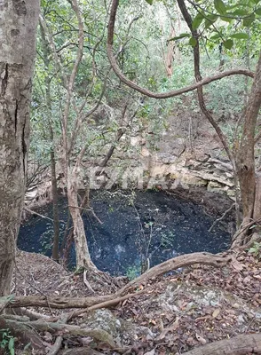 Rancho en venta