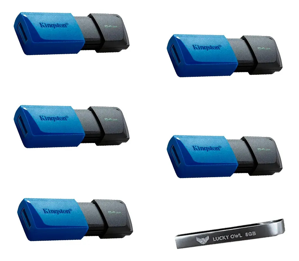 Kit 5 Memoria Usb Dtxm/64gb 64gb 3.2 Gen 1 + Usb Lucky Owl Azul Con Negro Liso