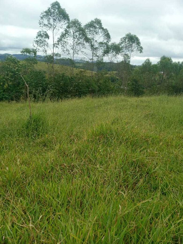 Imagem 4 de 14 de A22- Últimos Lotes Em Jacareí