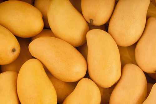 Mango Ataulfo
