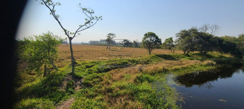 Imagem 14 de 15 de Sitio - Coqueiros - Ref: 26160 - V-26160