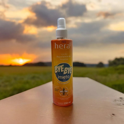 Repelente Bye Bye Inseto 250ml - Combo 2 Unidades