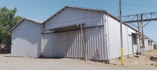 Arriendo De Bodegas En Linares Id. 80.687-lin — 6