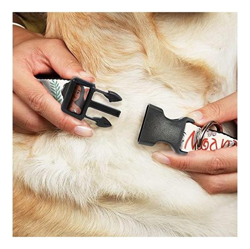 Collar Para Perro Con Hebilla Clip De Plástico Moana Con Pua