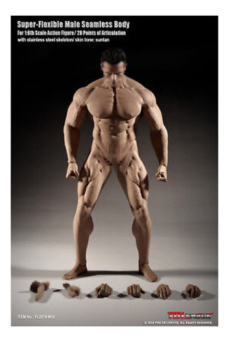 Jj Modelo De Cuerpo Musculoso Tbleague Phicen De Hombre 1/6