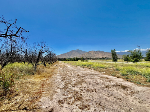 Baja De Precio! Sitio, Con Buenos Accesos A Carreteras