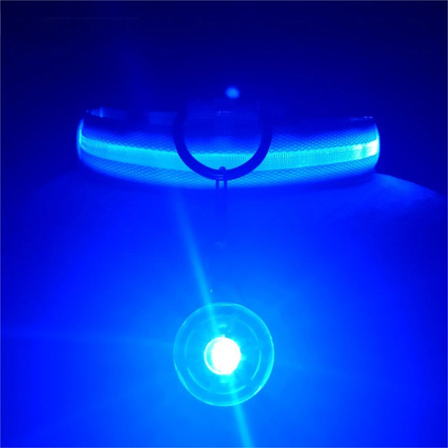 Collar De Luz Led Ajustable Para Perros Y Gatos